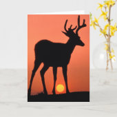 Schwarzschwanz oder Mule Dee | Olympischer Nationa Karte (Gelbe Blume)