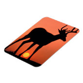 Schwarzschwanz oder Mule Dee | Olympischer Nationa Magnet (Linke Seite)