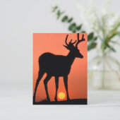 Schwarzschwanz oder Mule Dee | Olympischer Nationa Postkarte (Stehend Vorderseite)