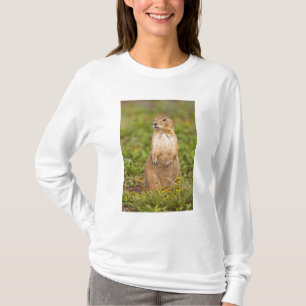 Schwarzschwanz-Präriehund Cynomys T-Shirt