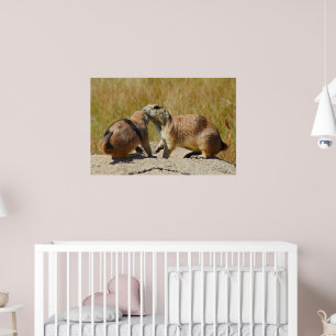 "Schwarzschwanz-Präriehund gerahmter Druck Poster
