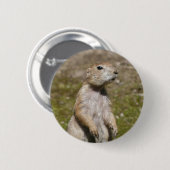 Schwarzschwanz-Präriehund-Wildfotografie Button (Vorne & Hinten)