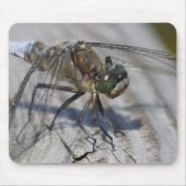 Schwarzschwänzchen Mousepad (Vorne)