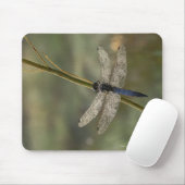 Schwarzschwänzchen Mousepad (Mit Mouse)