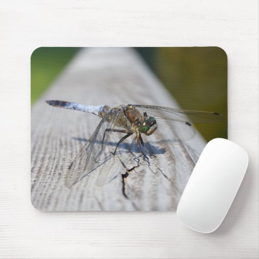 Schwarzschwänzchen Mousepad (Mit Mouse)