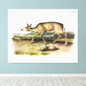Schwarzschwänzer, Mule Deer von Audubon Leinwanddruck (Insitu (Holzboden))