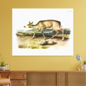 Schwarzschwänzer, Mule Deer von Audubon Leinwanddruck (Insitu (Wohnzimmer))