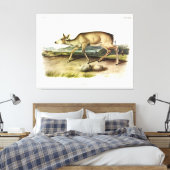 Schwarzschwänzer, Mule Deer von Audubon Leinwanddruck (Insitu (Schlafzimmer))