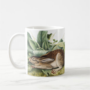 Schwarzschwanzhase (Lepus negricaudatus) Kaffeetasse