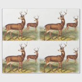 Schwarzschwanzhirsche (Cervus Richardsonii) Geschenkpapier (Flach)