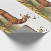 Schwarzschwanzhirsche (Cervus Richardsonii) Geschenkpapier (Ecke)