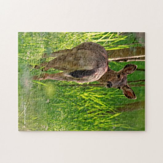 Schwarzschwanzhirsche im Wald Puzzle (Horizontal)