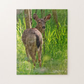 Schwarzschwanzhirsche im Wald Puzzle (Vertikal)