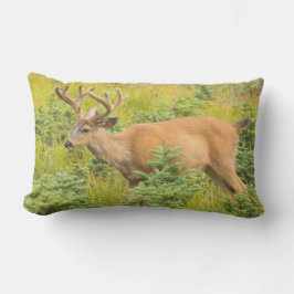 Schwarzschwanzhirsche Kissen Für Draußen