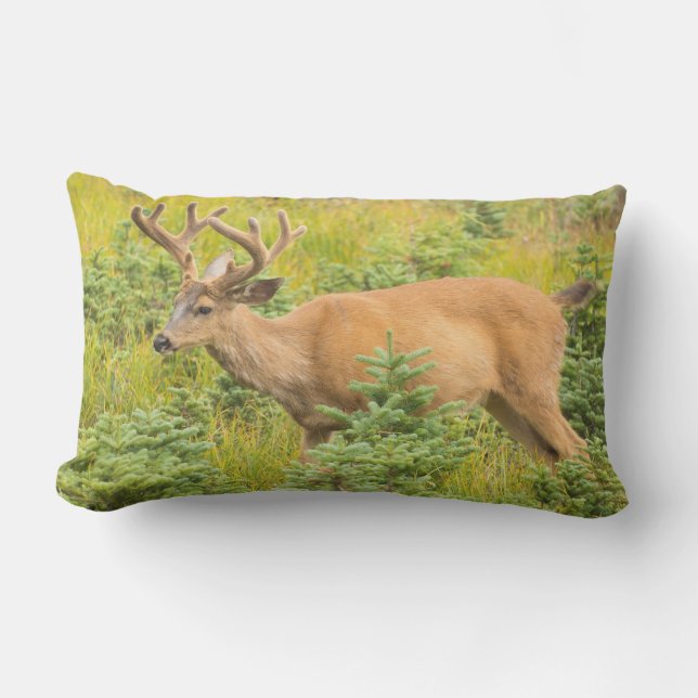 Schwarzschwanzhirsche Kissen Für Draußen (Vorderseite)