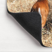 Schwarzschwanzhirsche Mousepad (Ecke)