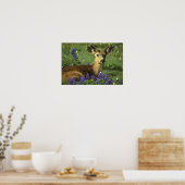 Schwarzschwanzhirsche, Odocoileus hemionus), in Poster (Küche)