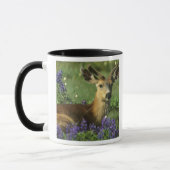 Schwarzschwanzhirsche, Odocoileus hemionus Tasse (Links)