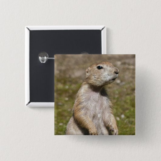 Schwarzschwanzhund Button (Vorne & Hinten)