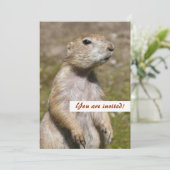 Schwarzschwanzhund Einladung (Stehend Vorderseite)