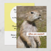 Schwarzschwanzhund Einladung (Vorne/Hinten)