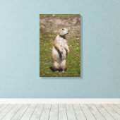 Schwarzschwanzhund Leinwanddruck (Insitu (Holzboden))