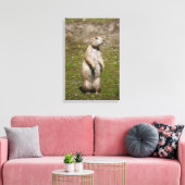 Schwarzschwanzhund Leinwanddruck (Insitu (Wohnzimmer))