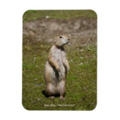 Schwarzschwanzhund Magnet (Vertikal)