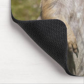Schwarzschwanzhund Mousepad (Ecke)
