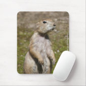 Schwarzschwanzhund Mousepad (Mit Mouse)