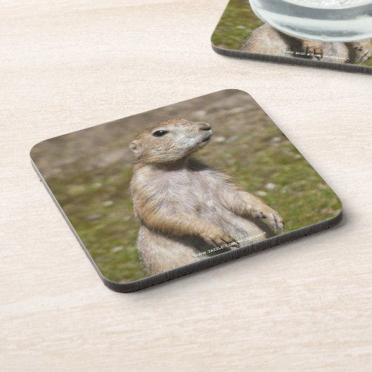 Schwarzschwanzhund Untersetzer (Linke Seite)