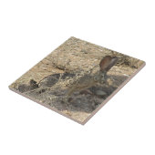 Schwarzschwanziger Hase Fliese (Seite)