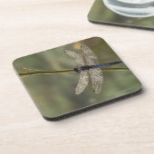 Schwarzschwanziges Abstreicheisen Untersetzer (Linke Seite)