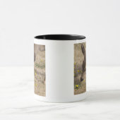 Schwarzschwanziges Weiden lassen der Rotwild Tasse (Zentrum)