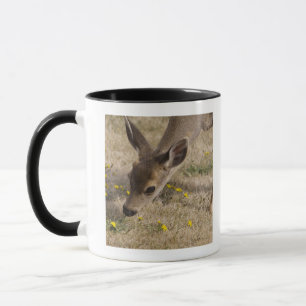 Schwarzschwanziges Weiden lassen der Rotwild Tasse