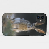 Schwarzschwanzkaninchen, Lepus californicus, 2 Case-Mate iPhone Hülle (Rückseite (Horizontal))