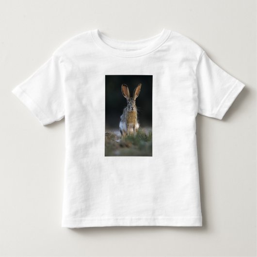 Schwarzschwanzkaninchen, Lepus californicus, 2 Kleinkind T-shirt (Vorderseite)