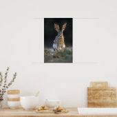 Schwarzschwanzkaninchen, Lepus californicus, 2 Poster (Küche)