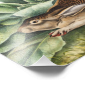 Schwarzschwanzkaninchen (Lepus negricaudatus) Fotodruck (Ecke)