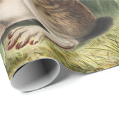 Schwarzschwanzkaninchen (Lepus negricaudatus) Geschenkpapier (Rolleneckpunkt)