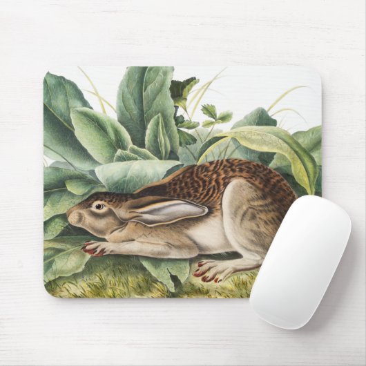 Schwarzschwanzkaninchen (Lepus negricaudatus) Mousepad (Mit Mouse)