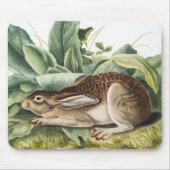 Schwarzschwanzkaninchen (Lepus negricaudatus) Mousepad (Vorne)