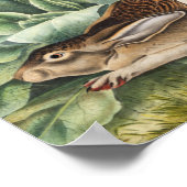 Schwarzschwanzkaninchen (Lepus negricaudatus) Poster (Ecke)