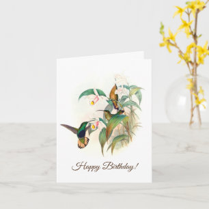 Schwarzschwanzkolibri, Alles Gute zum Geburtstag Karte
