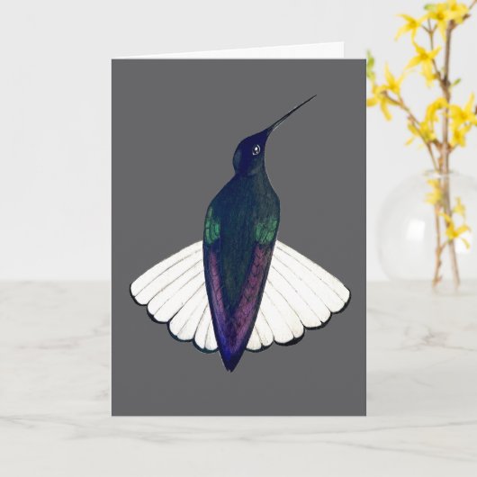 Schwarzschwanzkolibri karte (Gelbe Blume)