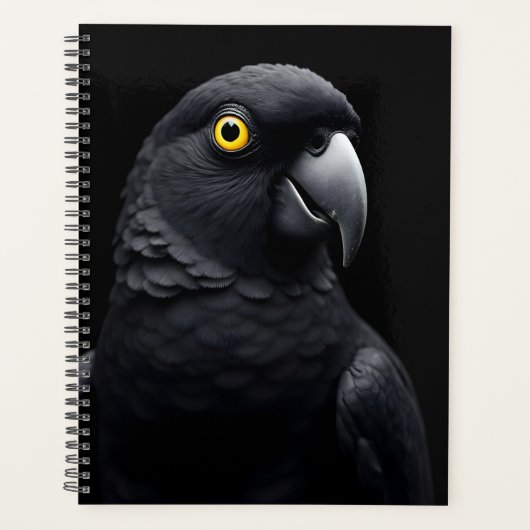 Schwarzsittich Planer (Vorderseite)