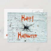 Schwarzspinnen-Postkarte Postkarte (Vorne/Hinten)