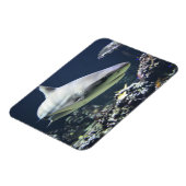 Schwarzspitzenhaie Schwimmen in Korallen Magnet (Linke Seite)