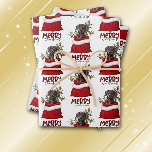 Schwarztan-Dackel Hund in Holiday-Geschenktasche Geschenkpapier Set