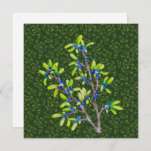 Schwarzthorn Branch dunkelgrün (Vorne/Hinten)